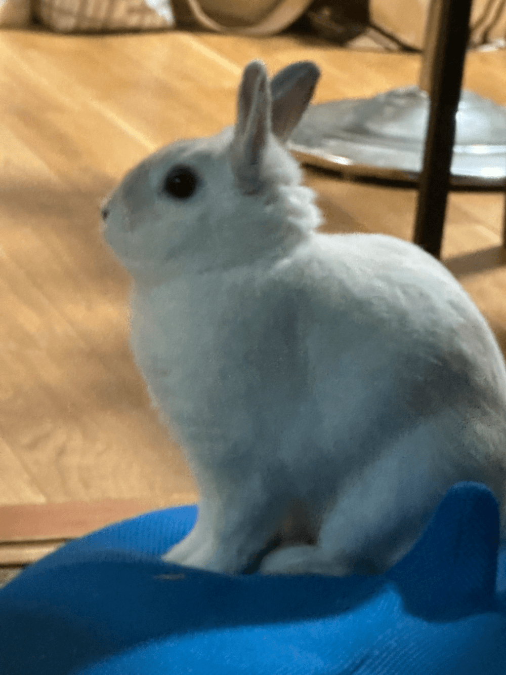 Shuichi의 사진 일기 이미지 1/4