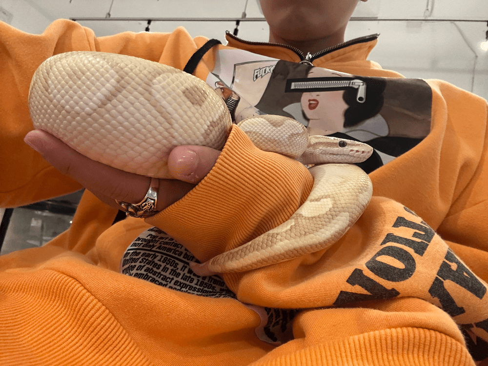 Shuichi의 사진 일기 이미지 4/4